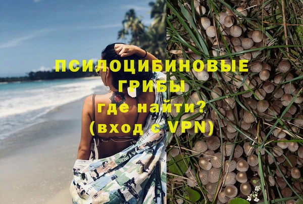 соль курить ск Арсеньев
