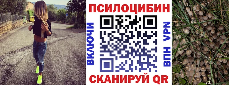 Галлюциногенные грибы Psilocybe МЕГА маркетплейс сайты даркнета клад Урюпинск