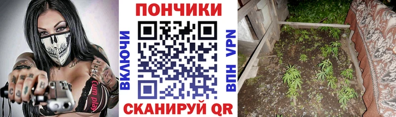 Конопля конопля  дарнет шоп  Урюпинск 
